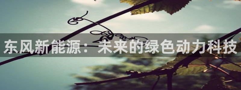 摩根娱乐老lb板50820