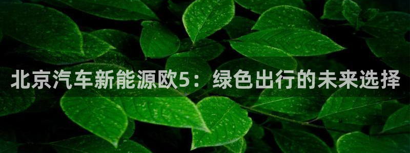 摩根大通旗下娱乐公司