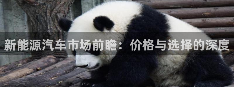 摩根娱乐