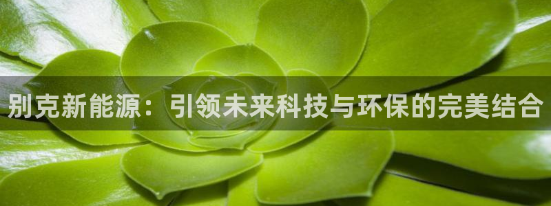 义乌摩根娱乐阿峰：别克新能源：引领未来科