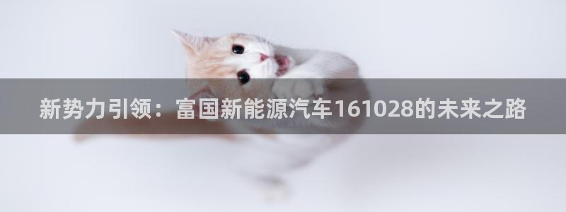 摩根娱乐宝.知道吗：新势力引领：富国新能