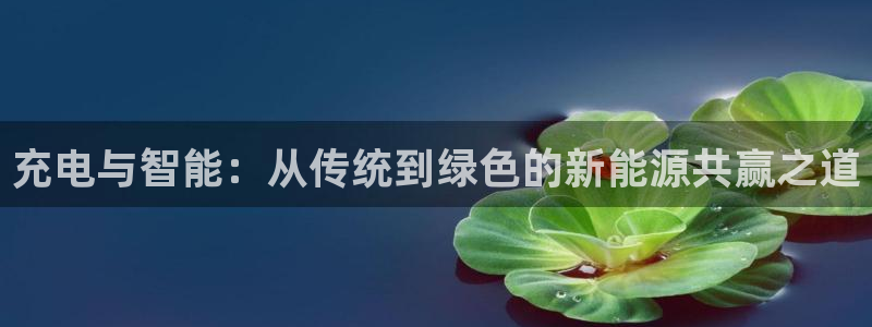 摩根娱乐宝正规吗