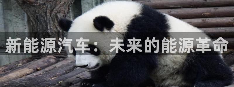摩根娱乐是什么
