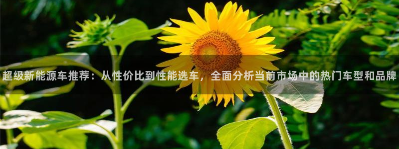 泉州摩根会娱乐会所地址