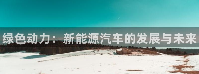 重生娱乐美日混血摩根