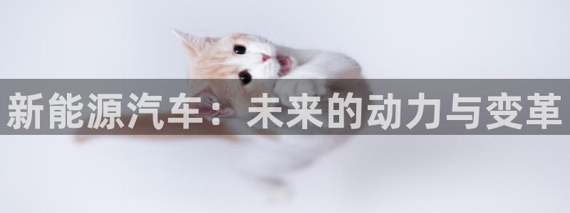 摩根娱乐宝打不开