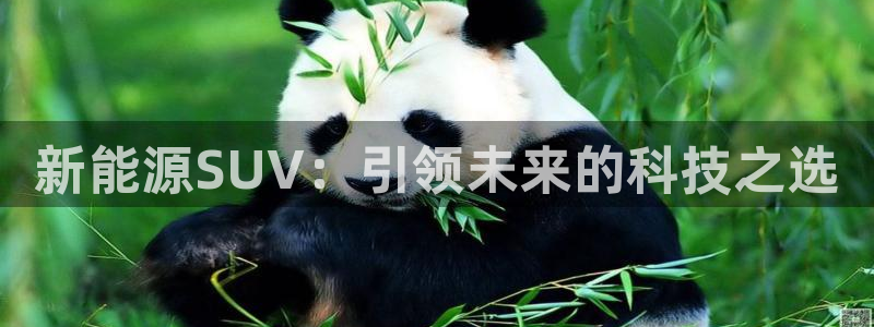 摩根娱乐垫付任务靠谱吗