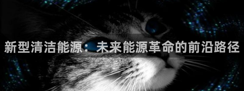 摩根娱乐宝k线图