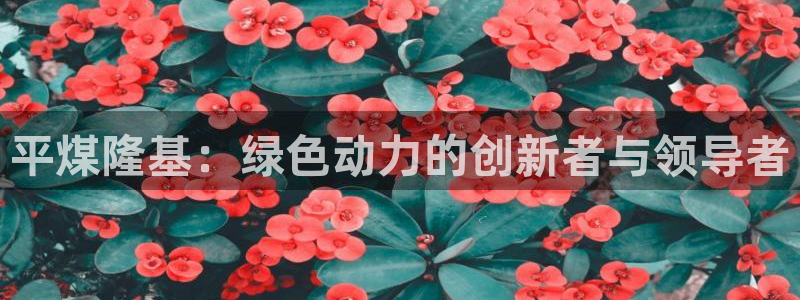 泉州摩根会娱乐有限公司