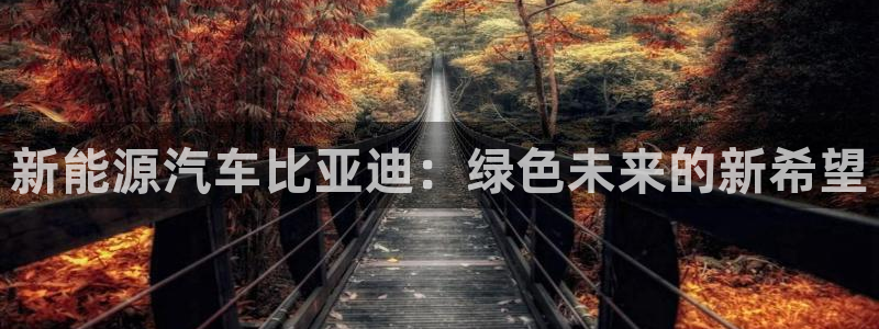 猫眼娱乐摩根士丹利