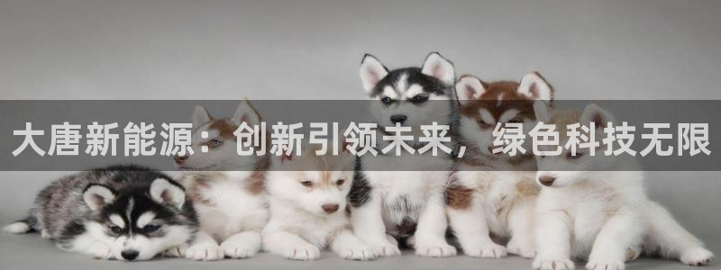 泉州摩根娱乐会所电话号码：大唐新能源：创
