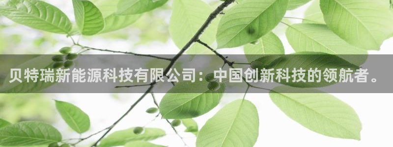 摩根娱乐宝与：贝特瑞新能源科技有限公司：