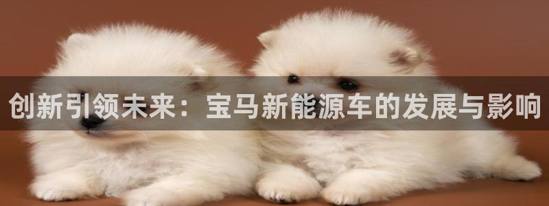 摩根娱乐宝登陆网址