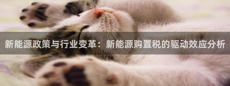 义乌摩根娱乐有限公司