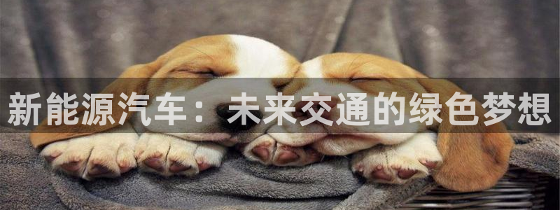 摩根娱乐平台云挂机安全吗