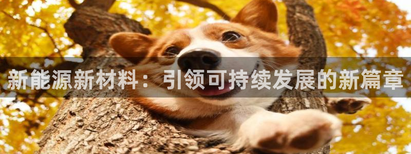 白宫摩根娱乐场所
