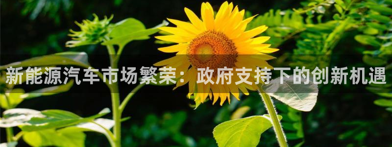 摩根娱乐 c招a商77130