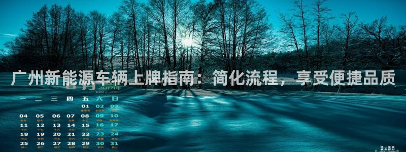摩根娱乐公司