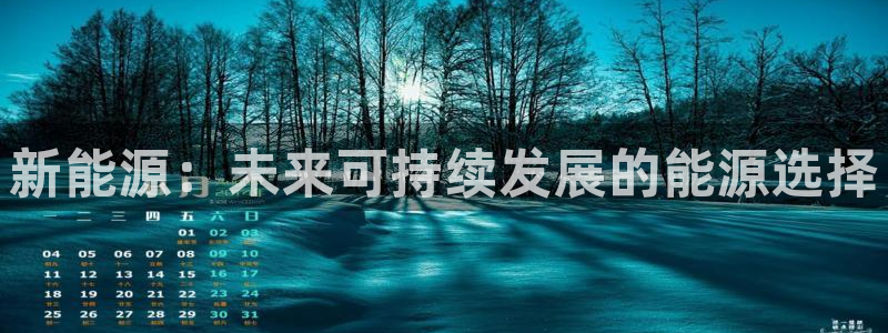摩根大通王者娱乐