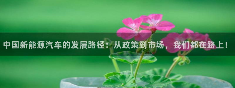 摩根娱乐宝