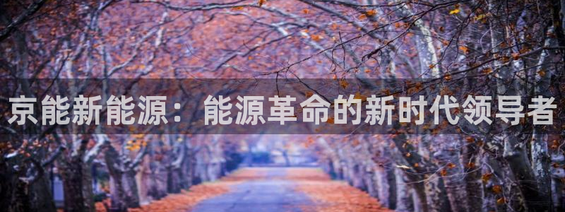 摩根娱乐1老H板50820：京能新能源：