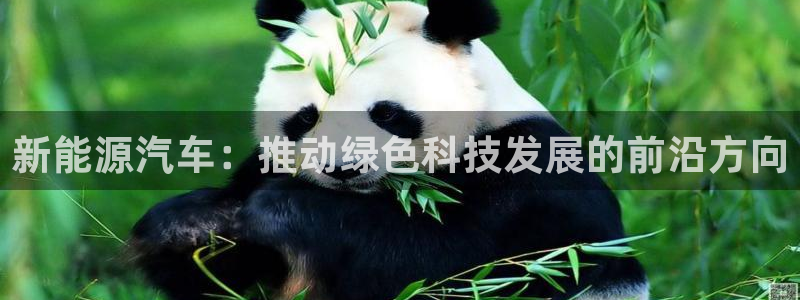 白宫摩根娱乐会所:新能源汽车:推动绿色科技发展的前沿方向