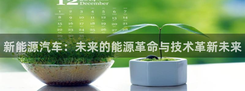 摩根娱乐垫付任务靠谱吗:新能源汽车:未来的能源革命与技术革新