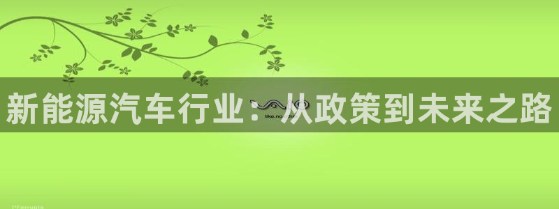 摩根大通旗下娱乐公司:新能源汽车行业:从政策到未来之路