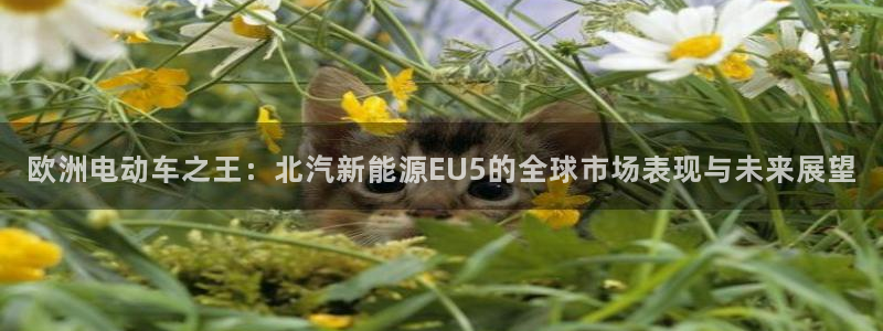 摩根娱乐宝吧:欧洲电动车之王:北汽新能源EU5的全球市场表现