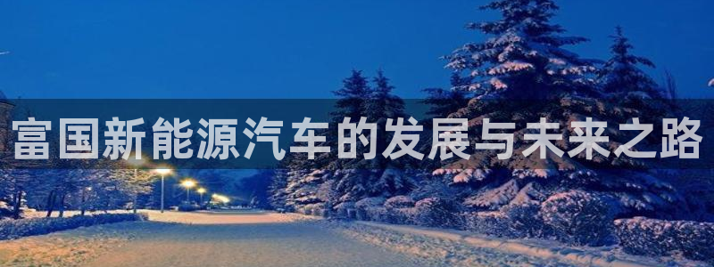 摩根娱乐 总s管50015:富国新能源汽车的发展与未来之路