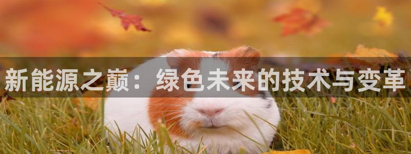 摩根娱乐宝平台:新能源之巅:绿色未来的技术与变革