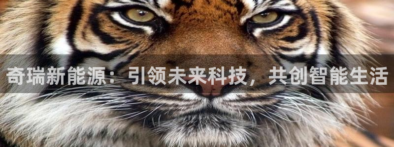 摩根娱乐:奇瑞新能源:引领未来科技,共创智能生活