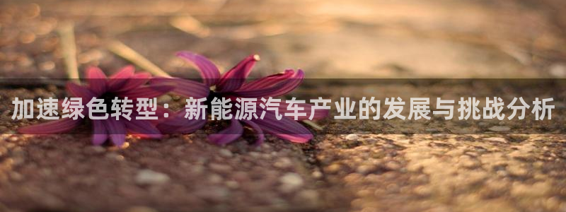 摩根娱乐文化有限公司:加速绿色转型:新能源汽车产业的发展与挑