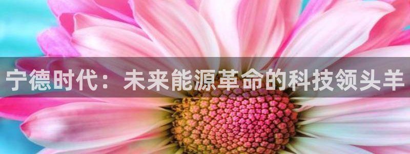 摩根娱乐 F招D商98732:宁德时代:未来能源革命的科技领
