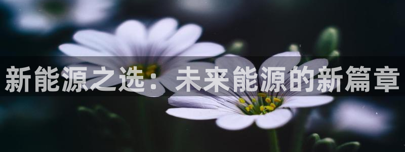 摩根娱乐帐7O777:新能源之选:未来能源的新篇章