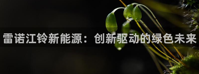 漳州摩根会娱乐:雷诺江铃新能源:创新驱动的绿色未来