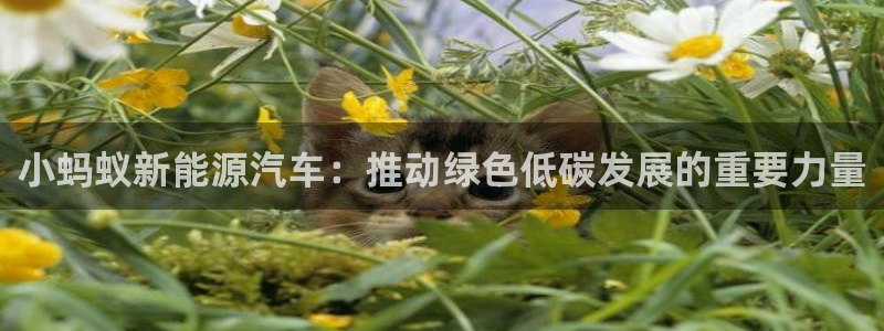 漳州摩根会娱乐:小蚂蚁新能源汽车:推动绿色低碳发展的重要力量