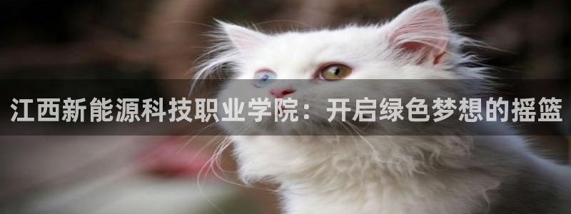 义乌摩根娱乐会所图片:江西新能源科技职业学院:开启绿色梦想的
