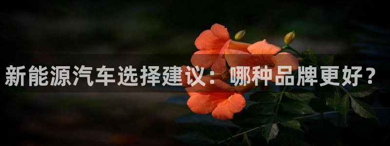 摩根娱乐会所电话:新能源汽车选择建议:哪种品牌更好?