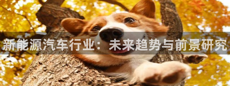 摩根国际娱乐:新能源汽车行业:未来趋势与前景研究