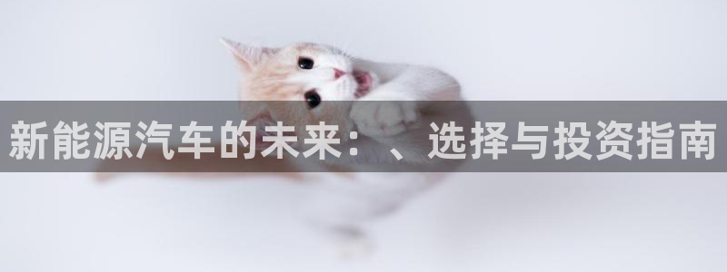 义务摩根娱乐会所电话:新能源汽车的未来:、选择与投资指南