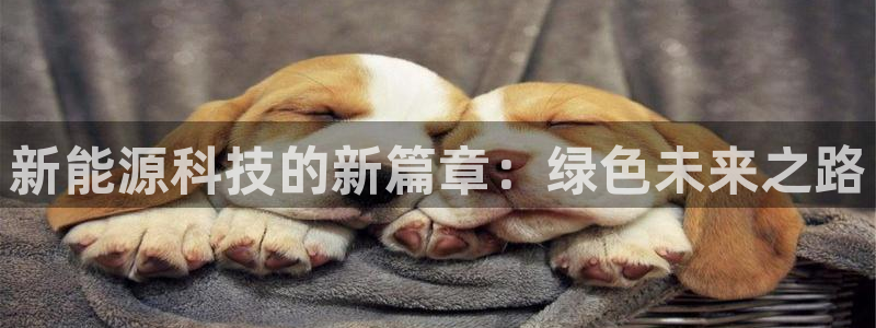 义乌摩根娱乐招聘少爷:新能源科技的新篇章:绿色未来之路