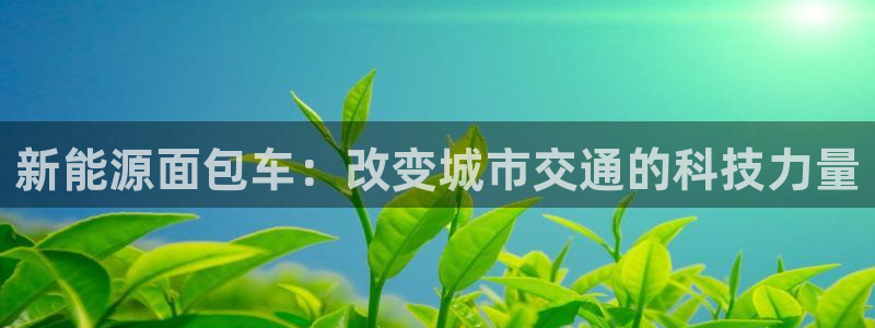 摩根娱乐宝微信客服:新能源面包车:改变城市交通的科技力量
