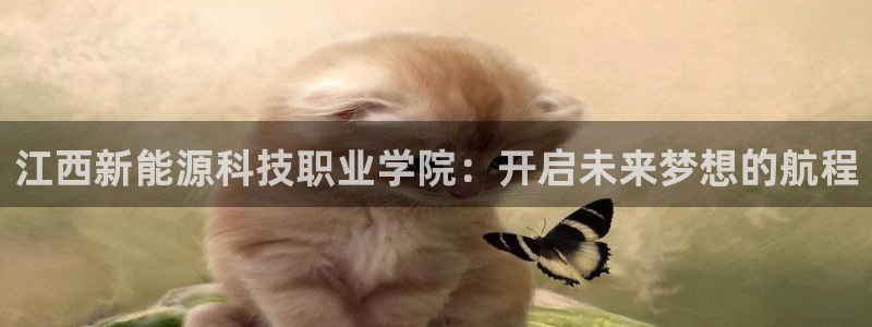 义乌摩根娱乐会所招聘:江西新能源科技职业学院:开启未来梦想的