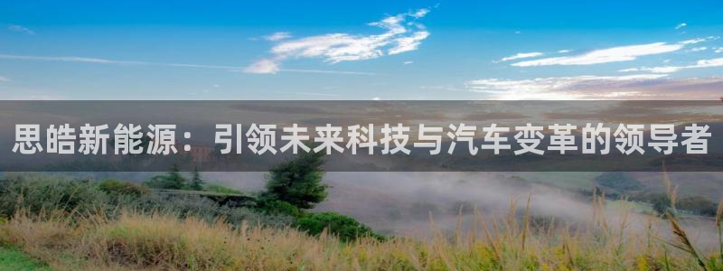 摩根娱乐黑别人网站:思皓新能源:引领未来科技与汽车变革的领导