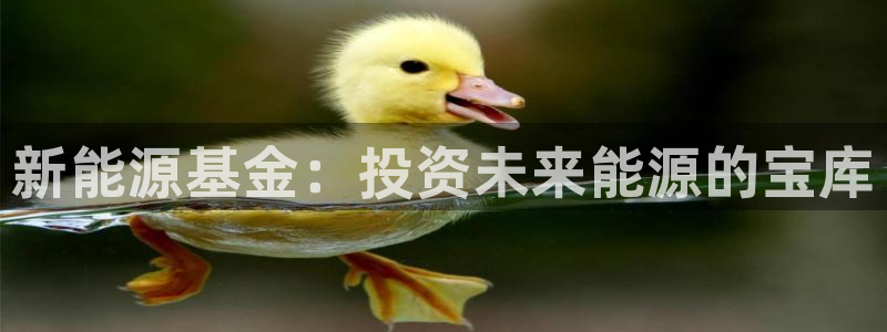 白宫摩根娱乐场所:新能源基金:投资未来能源的宝库