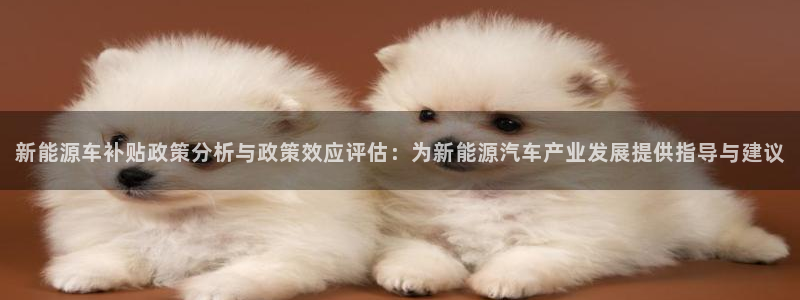 摩根娱乐宝可靠不:新能源车补贴政策分析与政策效应评估:为新能
