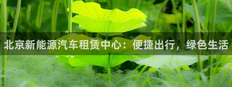 摩根娱乐和摩根国际