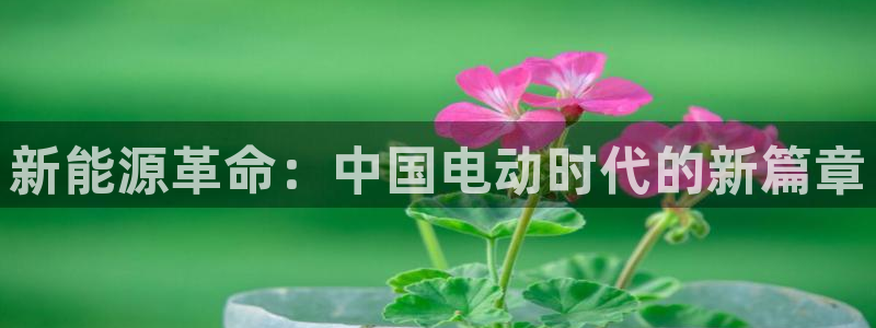 摩根娱乐宝如何提现